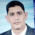 حامد