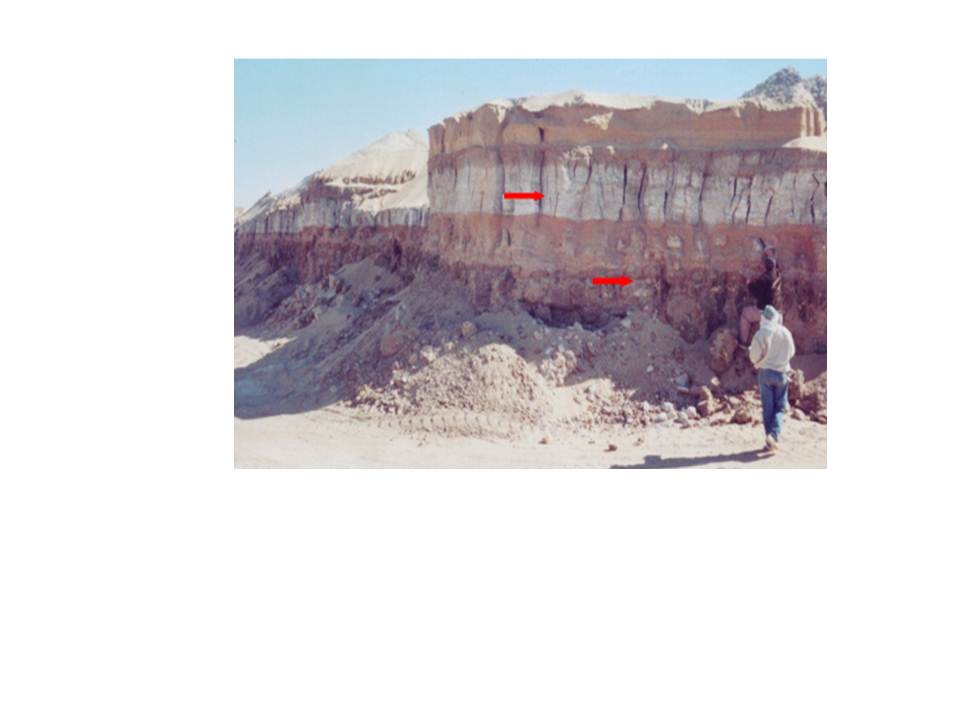 معاز