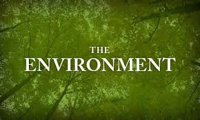 Environment/