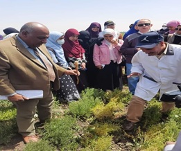 زيارة
