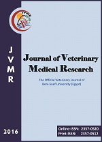 JVMR Cover